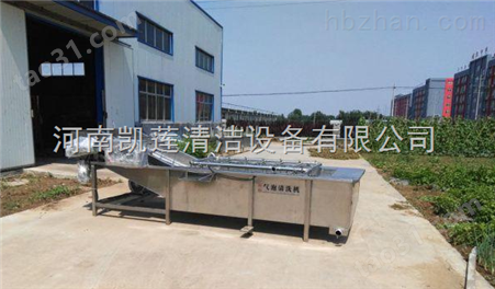 郑州市厂家供应龙虾清洗机