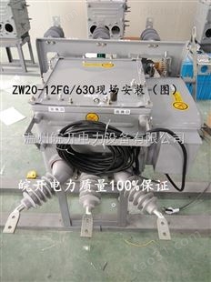 ZW20-12M智能永磁分界断路器