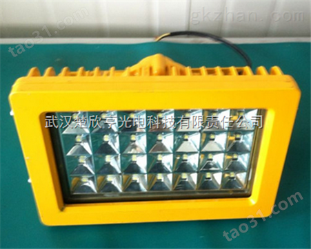 PD-GB6601 LED50W防爆泛光灯PD-GB6601